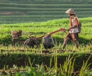 How To Spend 9 Days In Vietnam: The Perfect Itinerary For First-Time Visitors