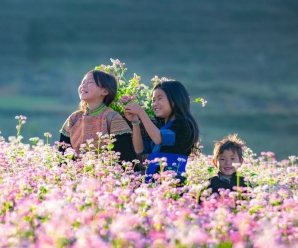 Where To Travel In Vietnam In November: Weather, Itinerary & Tips