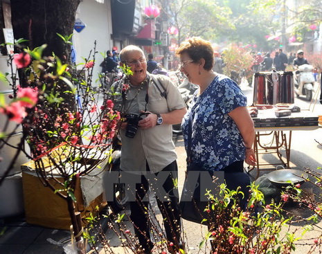 Breathe in the scent of blossoms and street food as you wander through colorful Tet markets