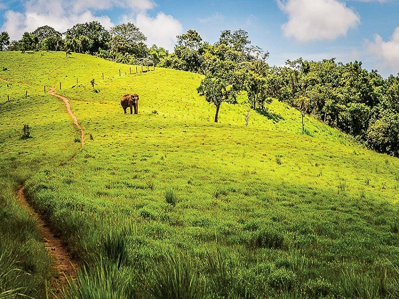 Explore Cambodia’s wild side in Mondulkiri: misty trails, remote villages, and rich biodiversity await
