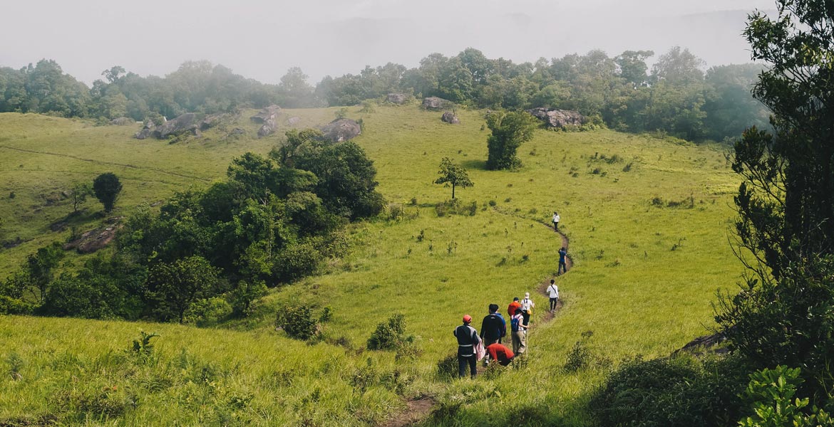 Trek deep into the untouched jungle of the Cardamoms and discover hidden waterfalls, wildlife, and remote villages
