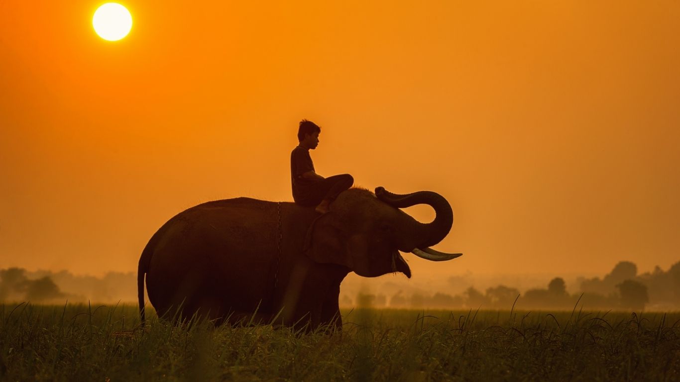 Mondulkiri offers ethical elephant tourism